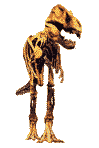 Skeleton crumbles - Click image to download.